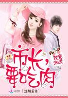 神武高级机智剑气